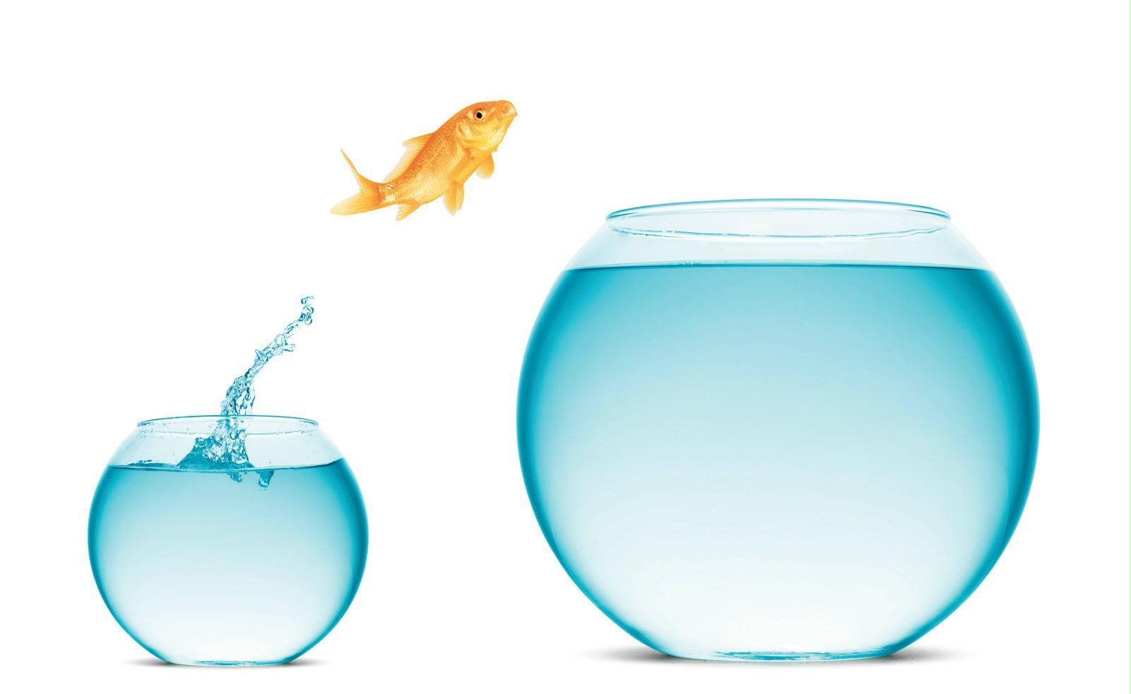 Como usar as redes sociais para oferecer seus negócios